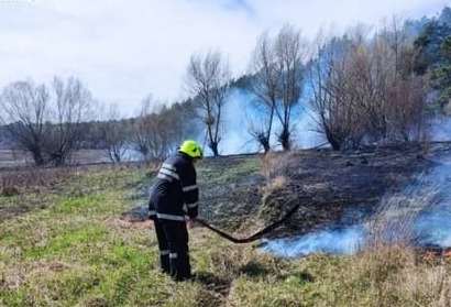 На Житомирщині за останню добу ліквідували 12 пожеж сухостою