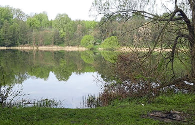 Озеро в селі Ксаверівка