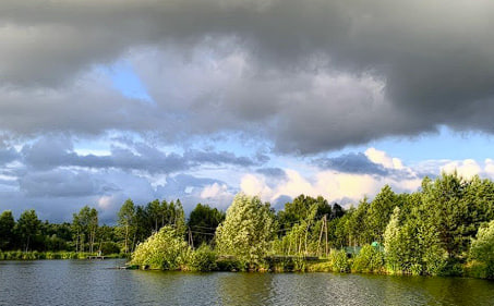 «По щучому велінню» Житомир