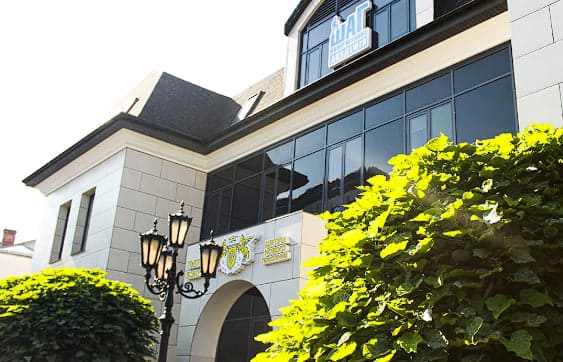 Приватний ліцей «It Step School»