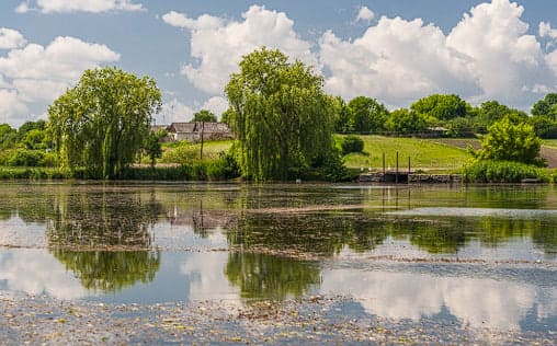 Ставок у селі Привітів Житомир
