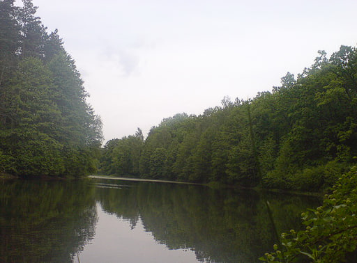 Глібка озеро Житомир