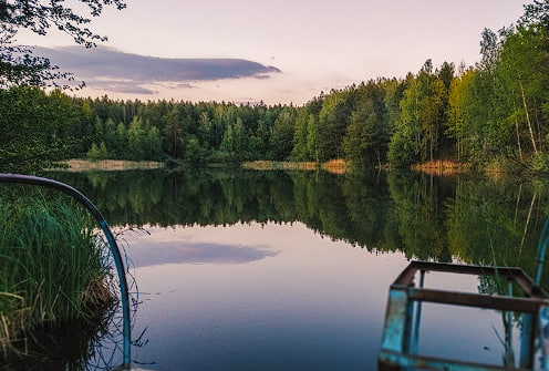 Лісове озеро біля Колодязьок