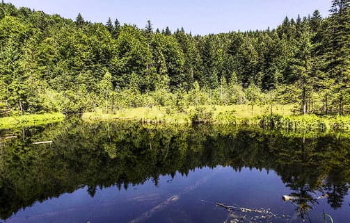 Озеро Журавське Полтава