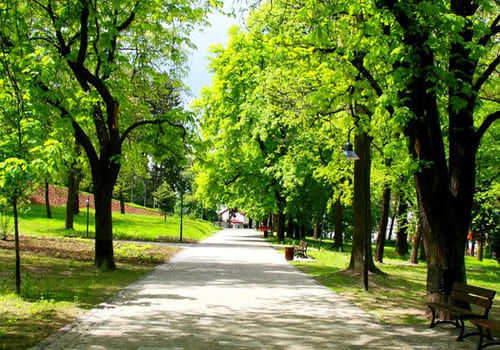 Парки та сквери Житомира