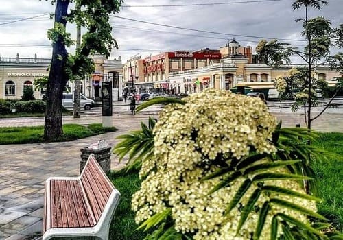 Сквер на Лятошинського в Житомирі