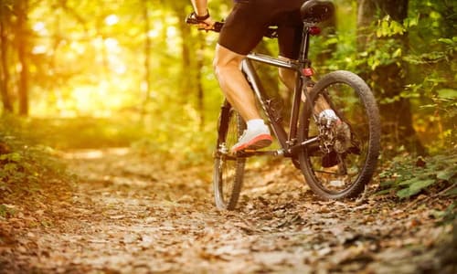 Велосипедні маршрути Житомирщини