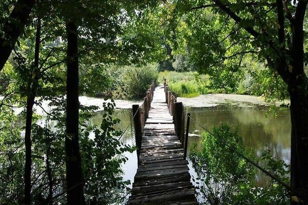 Трощанський парк у Трощі