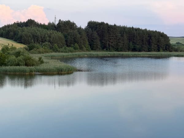 Давньоруське городище «Колодяжин»